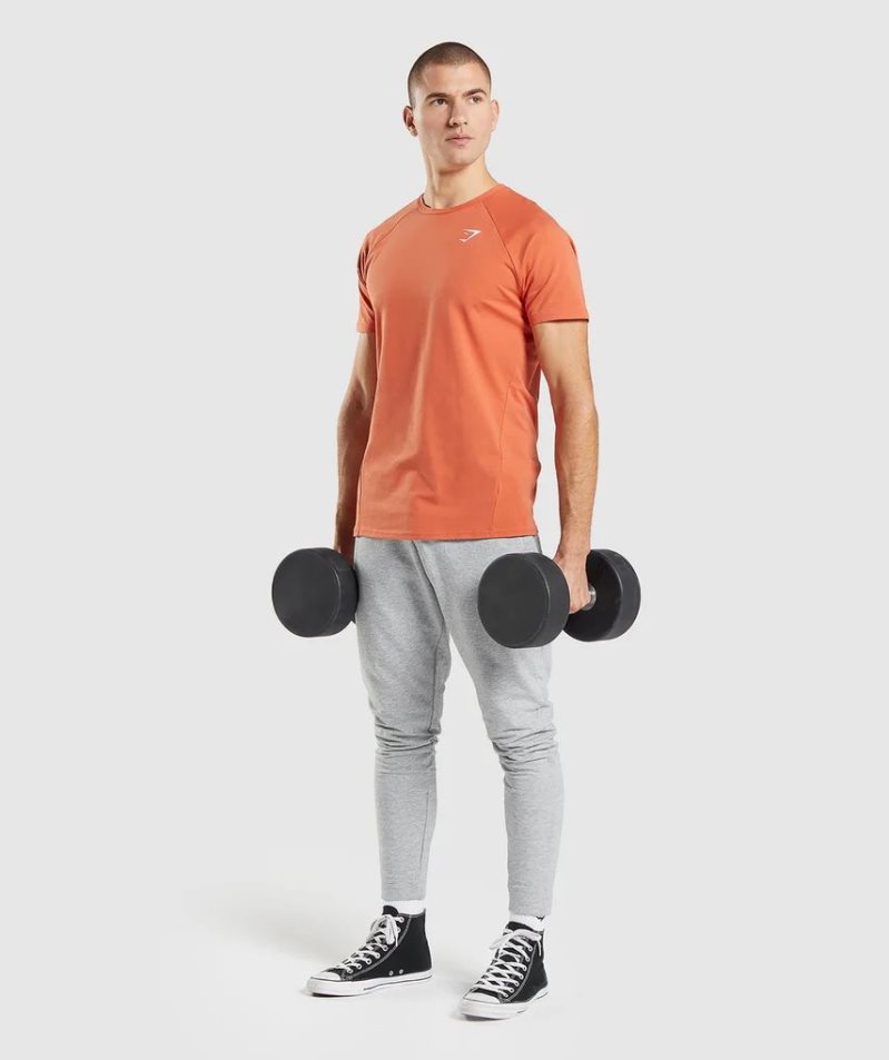 Men's Gymshark Critical T-Shirts Orange | CA A7083D